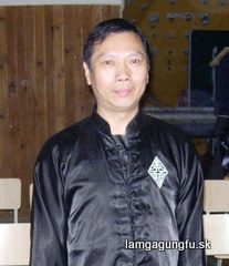 Reálne kung fu a to na plátne